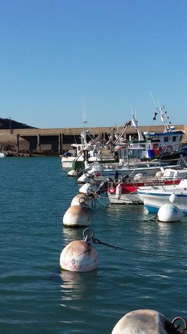 Entre Golfe Et Ocean Villa La Trinite-Surzur ภายนอก รูปภาพ