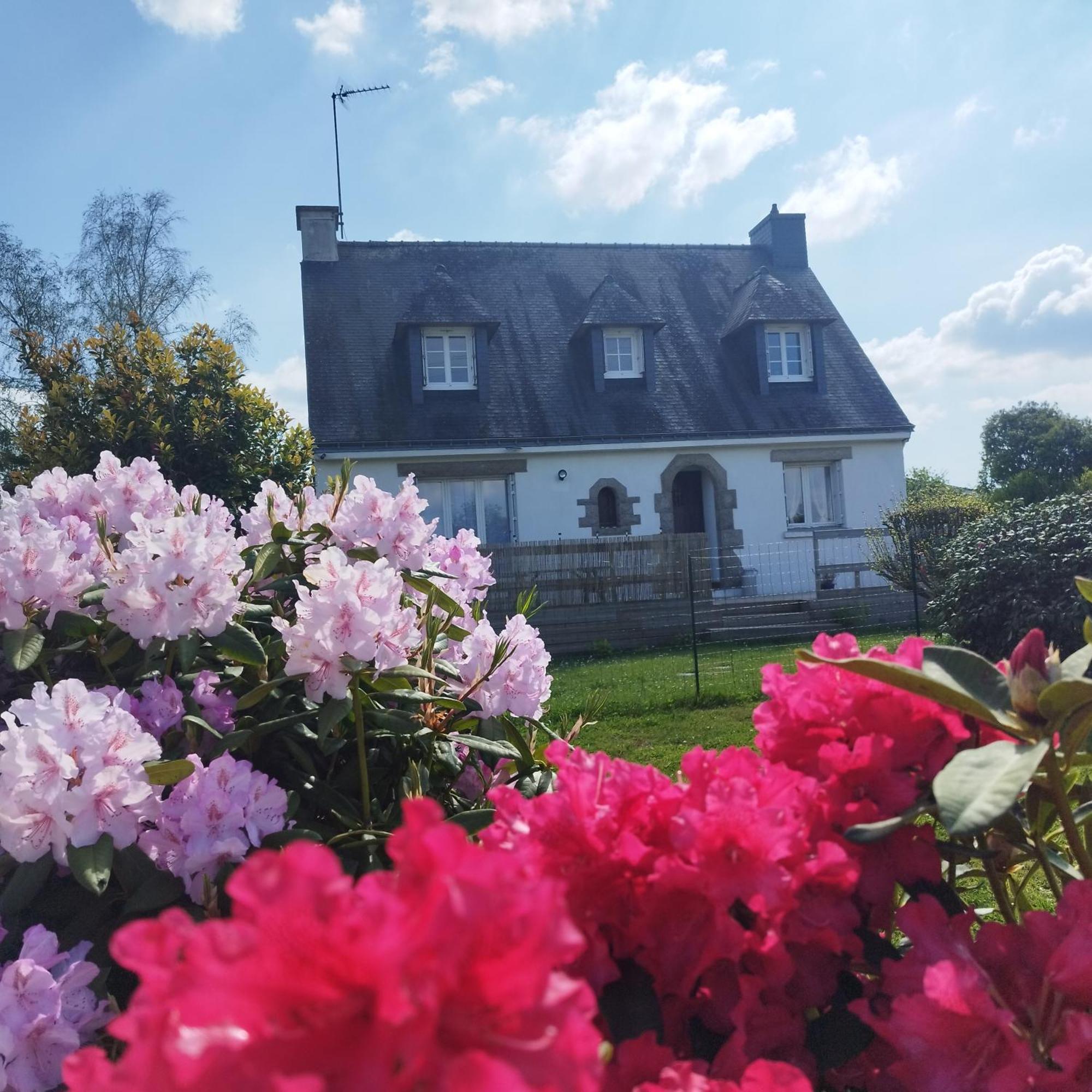 Entre Golfe Et Ocean Villa La Trinite-Surzur ภายนอก รูปภาพ